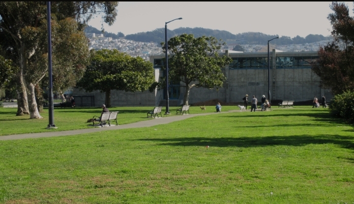 Off-leash Dog Area, Balboa park ,California 