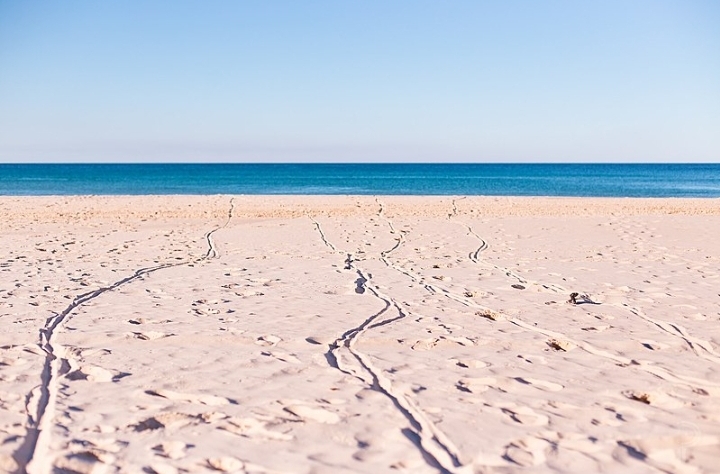 The sand at Rainbow Beach,Queensland Australia 