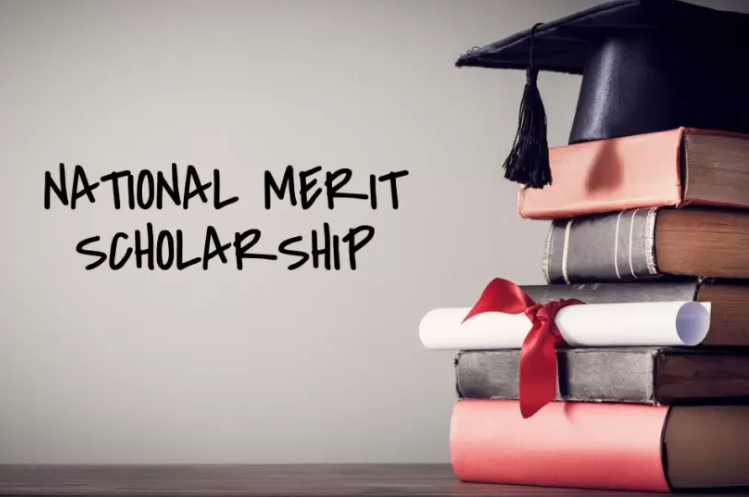 what is a merit scholarship?